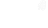 Logo pacifica
